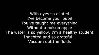 Nirvana  Drain You Lyrics [upl. by Mathre791]