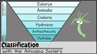 Classification [upl. by Sugar471]