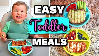 Baby experts share tips on how to successfully feed fussy eaters l GMA [upl. by Vince]