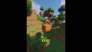 Minecraft Crazy Facts 😲 [upl. by Eednak]