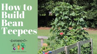 How to Build DIY Bean Teepees [upl. by Ahsekar819]