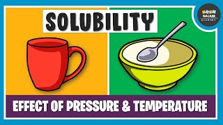 What is Solubility Chemistry [upl. by Muller]