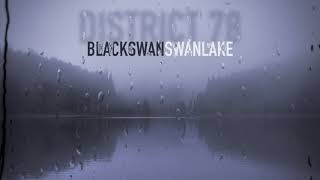 BLACK swan SWAN lake  District 78 Swan Lake Remix [upl. by Berriman]