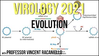 Virology Lectures 2021 21  Evolution [upl. by Kettie885]