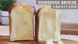 Sourdough Brioche  酸種布裏歐修 [upl. by Marcella]