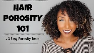 Hair Porosity 101 amp 3 Easy Hair Porosity Tests  BiancaReneeToday [upl. by Margit227]