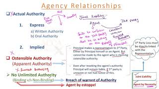 Contract of Agency  Law  Lecture 14 [upl. by Sayers959]