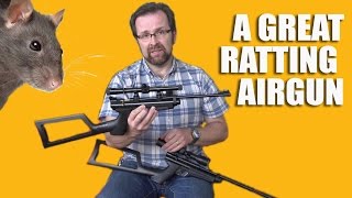 Great Ratting Airgun [upl. by Schrick324]