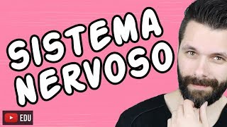 SISTEMA NERVOSO  FISIOLOGIA  Aula  Biologia com Samuel Cunha [upl. by Selyn]