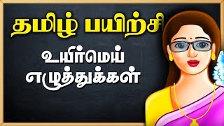 Modal Auxiliary VerbsModals in TamilEnglish GrammarGrammar in Tamil [upl. by Flannery]