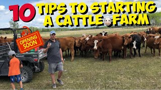 Starting a Beef Cattle Farm 10 TIPS for beginners to start a Cattle Ranch [upl. by Neri]