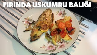 BU TARİF İLE BALIK USTASI OLACAKSINIZ 🐟 USKUMRU BALIK TARİFİ [upl. by Jessalyn]