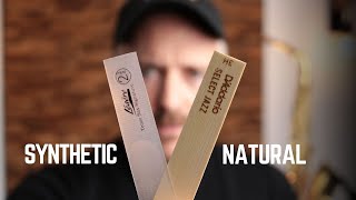 Legere Synthetic Reeds vs Cane Saxophone Reeds [upl. by Ahsoek699]