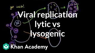 Viral replication lytic vs lysogenic  Cells  MCAT  Khan Academy [upl. by Montford561]