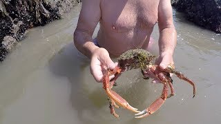 Extreme low tide foraging with Craig Evans [upl. by Reg]