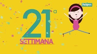 21° settimana di gravidanza [upl. by Tonina145]