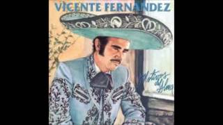 AUNQUE ME DUELA EL ALMA  VICENTE FERNANDEZ FULL AUDIO [upl. by Matteo]