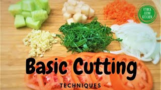 Basic Vegetable Cutting Techniques  Easy Vegetable Cutting Techniques Vegetable Chopping Techniques [upl. by Nortna360]