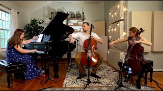 The Flower Duet from Lakmé  2 Cellos amp Piano [upl. by Enilasor]