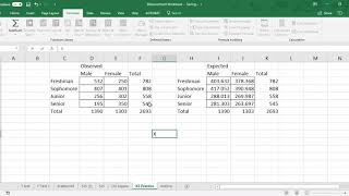 Excel Chi Square Test [upl. by Crudden641]