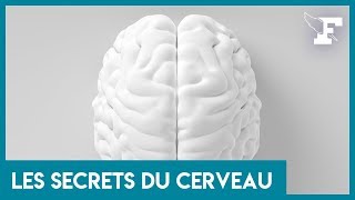 Comment fonctionne notre mémoire  Un neurologue répond [upl. by Assir994]