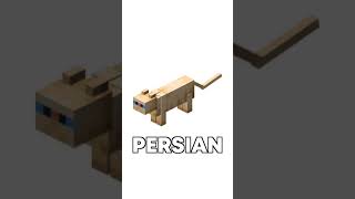 Minecraft Cat FACTS in Hindi [upl. by Netsrak]