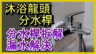 分水桿 蓮蓬頭漏水 分水杆切換有問題 沐浴龍頭分水器拆解分析及解決方法 洗澡 水龍頭 凡爾 落水頭 止洩帶 陶瓷芯 馬桶 堵塞 臉盆 廚房 更換 居家水電修繕 安裝 阿寶頻道 修EP16 [upl. by Sartin905]