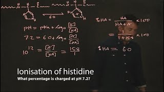 Ionisation of histidine [upl. by Miculek]