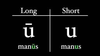 The Latin Alphabet  Vowel Pronunciation [upl. by Nallak]