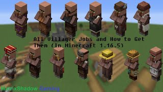 All Villager Jobs and How to Get Them  Minecraft 1165 [upl. by Severin142]