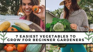 7 Easiest To Grow Vegetables For Beginners  Gardening 101 [upl. by Verne]