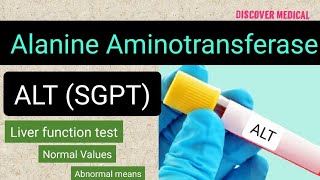 ALT  Alanine Aminotransferase  Liver function test [upl. by Veejar696]