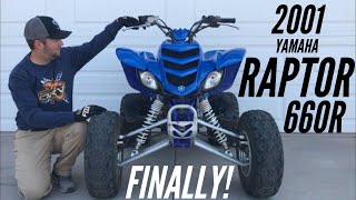 RAPTOR 660R  We bought one Vid 1 [upl. by Arnuad811]