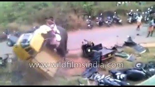 Deadly Elephant attack in India pachyderm goes crazy [upl. by Kimble]