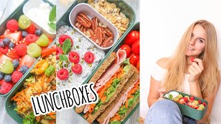 6 gesunde Lunchboxes  Kalorienangaben I Rezepte für die Arbeit Schule Uni I mealprep [upl. by Darbie]