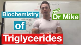 Fatty Acids Glycerol and Lipids  Biochemistry [upl. by Anuahs465]