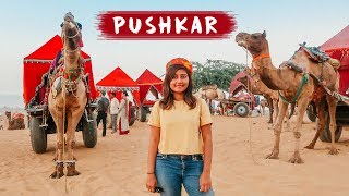 EXPLORING PUSHKAR  Pushkar Camel Fair 🐪  Things to do in Pushkar Rajasthan  Kritika Goel [upl. by Llennol]