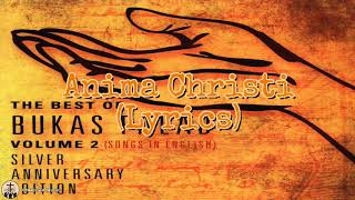 Anima Christi Lyrics  Bukas Palad [upl. by Aicul559]