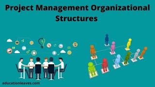 Project Management Organizational Structures [upl. by Nussbaum]