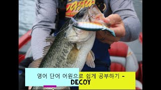 영어 단어 어원으로 쉽게 공부하기  decoy 어원 뜻 [upl. by Ralfston]