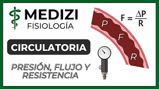 Episodio 1888 Soluciones Naturales Para La Presión Arterial [upl. by Adella]