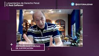 Lineamientos de Derecho Penal  15 Antijuricidad y causas de justificacion [upl. by Darraj510]