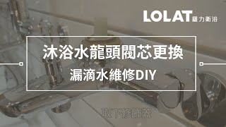 水龍頭漏水維修DIY－5分鐘更換浴室沐浴水龍頭閥芯 [upl. by Aisekal74]