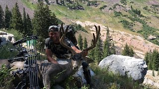 Utah Archery Mule Deer Hunt  Stuck N the Rut 84 [upl. by Wilen756]