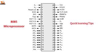 8085 Microprocessor Pin Diagram in 2 minutes Guaranteed Learn ShortcutTrick [upl. by Netsreik]