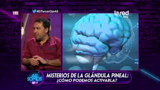 ¿Cómo activar la glándula pineal [upl. by Clevey]