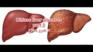 Abdominal US course  lecture 5 b  Diffuse liver disease  د عمرو صلاح [upl. by Stearne]