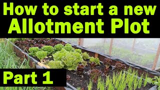 Start a new Allotment Plot  Where to start  Allotment Garden  Things you need to know  Part1 [upl. by Goldarina232]