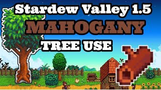 Stardew Valley Mahogany Tree  Stardew Valley 15  2021 [upl. by Ayatnohs]