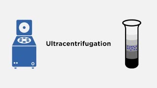 Beckman Coulter Exosome Isolation [upl. by Aimak]